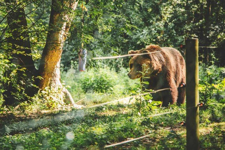Seeblick Stuer Екстер'єр фото